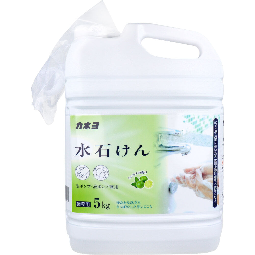 【Uso professionale】Sapone liquido per mani, compatibile con dosatori a schiuma e a liquido, profumo agrumato, 5 kg