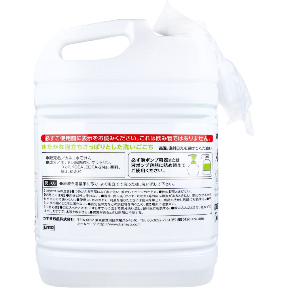 【Uso professionale】Sapone liquido per mani, compatibile con dosatori a schiuma e a liquido, profumo agrumato, 5 kg