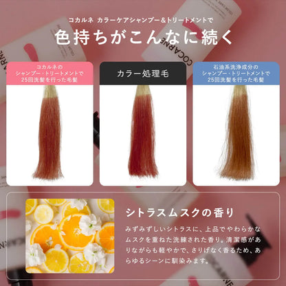 COCARNE Color Care Shampoo 400ml｜COCARNE