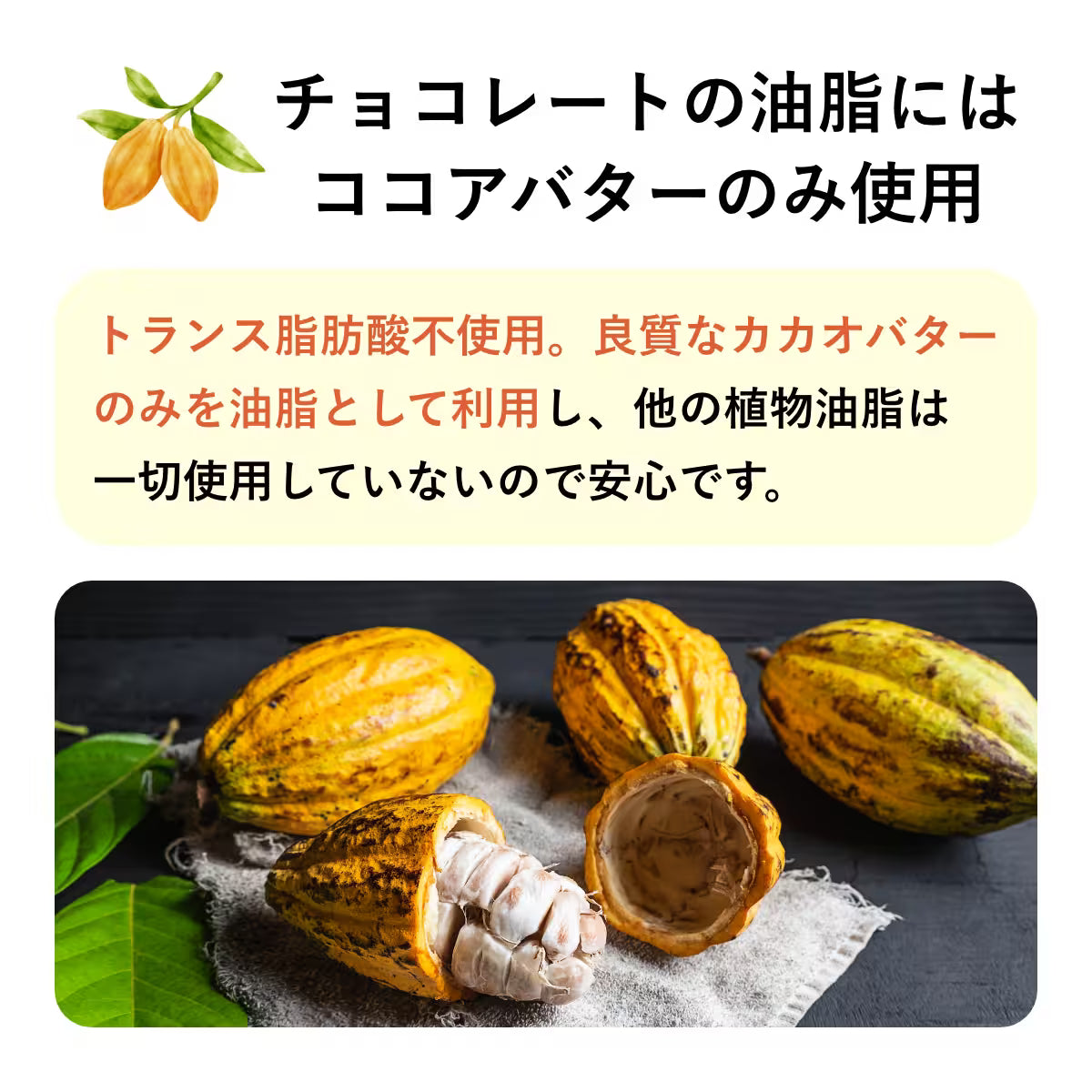 Fusubon Baked Chocolate 6,5g di carboidrati/sacchetto